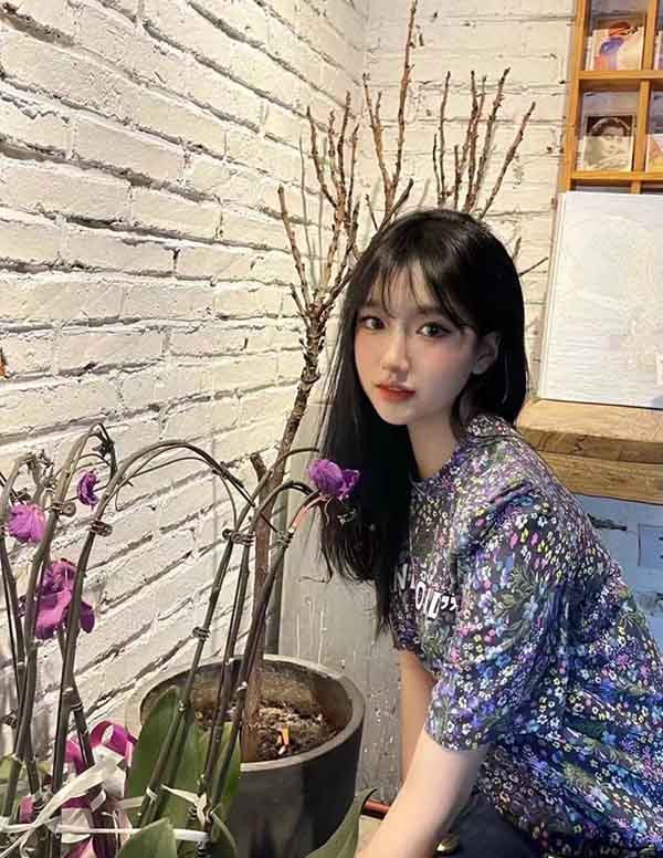 波士顿模特预约价格